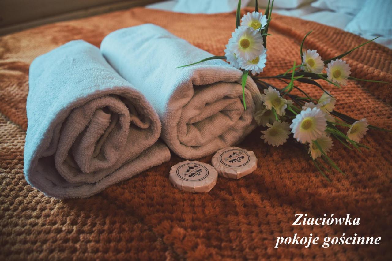 דירות Rzepiska Ziaciowka מראה חיצוני תמונה